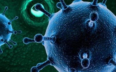 Will Your Insurance Cover Workers’ Compensation & Business Interruption Claims Due to the Coronavirus?