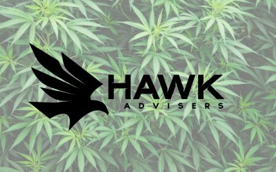 “New” Virginia Marijuana Law: Employer Guide & FAQ